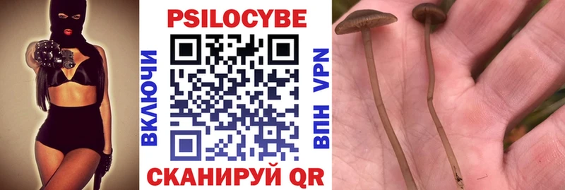 Псилоцибиновые грибы Psilocybe  Королёв 